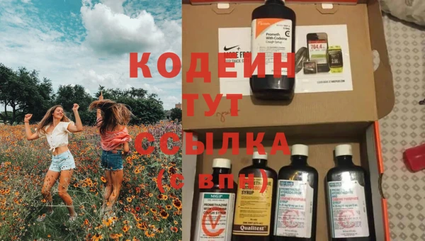 apvp Гусиноозёрск