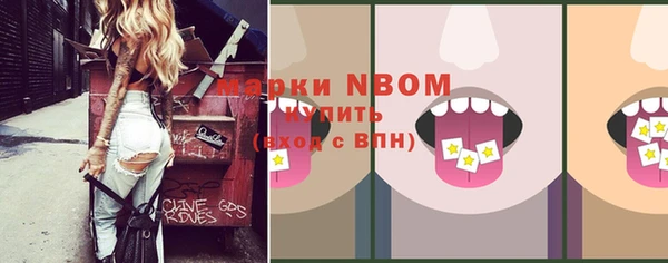 apvp Гусиноозёрск