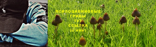 бутират Гусь-Хрустальный