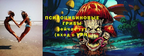 apvp Гусиноозёрск