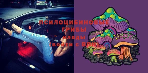 apvp Гусиноозёрск